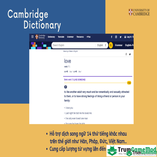 Cambridge Dictionary cung cấp kho từ vựng chuyên ngành đa dạng