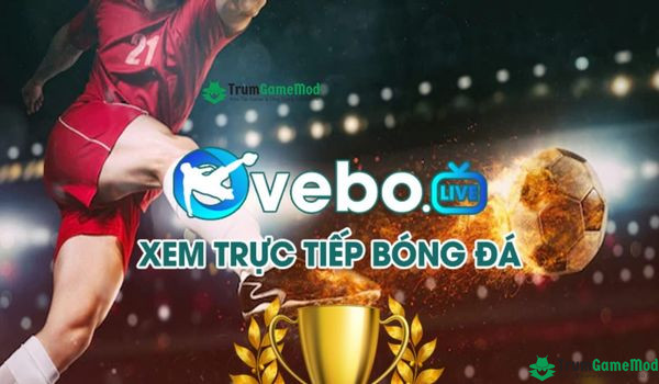 Trang web Vebo xem bóng đá trực tiếp uy tín hàng đầu 