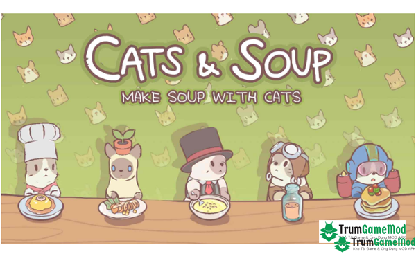 Cats & Soup