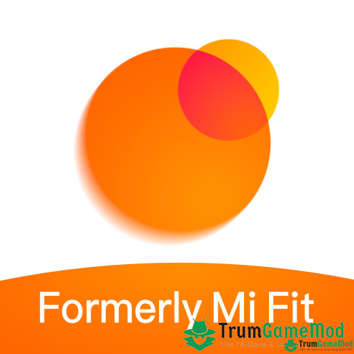 Mi-Fit-mod-logo