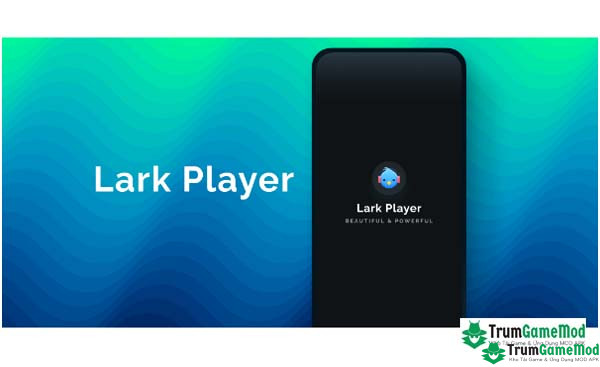 Lark Player 