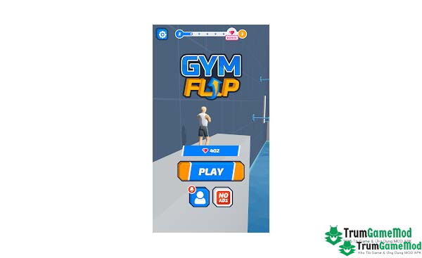 Gym Flip 