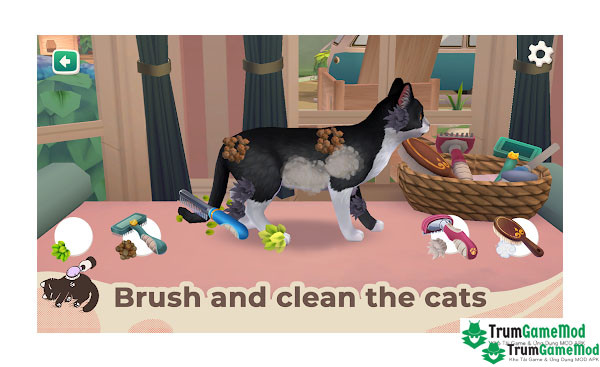 Cat Rescue Story pets home 2 Cat Rescue Story: pets home